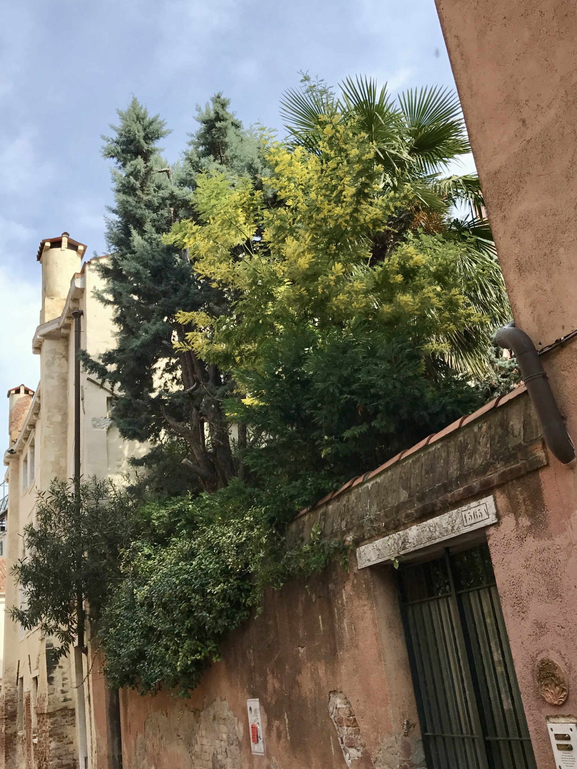 studio legale palisi padova risarcimento