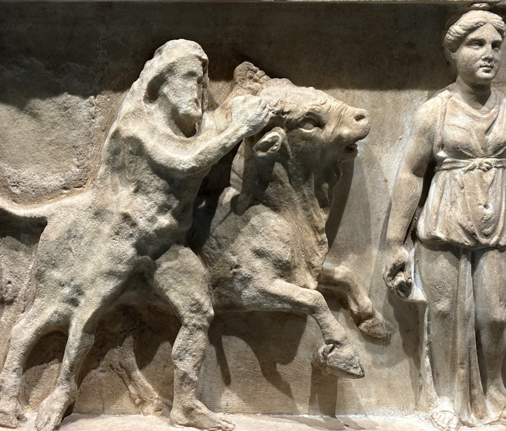 studio legale palisi padova responsabilità