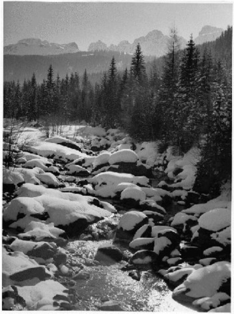 studio legale palisi padova