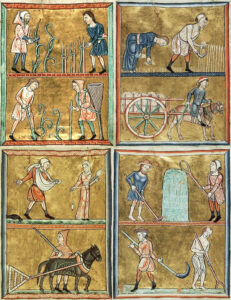 studio legale palisi padova risarcimento