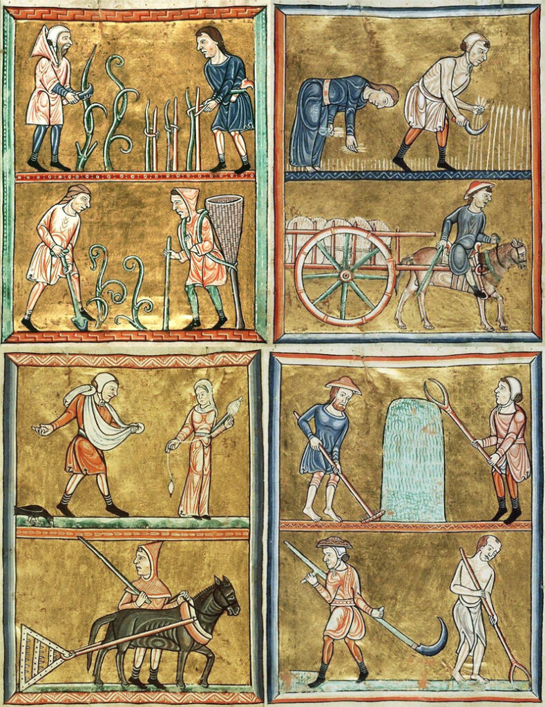 studio legale palisi padova risarcimento