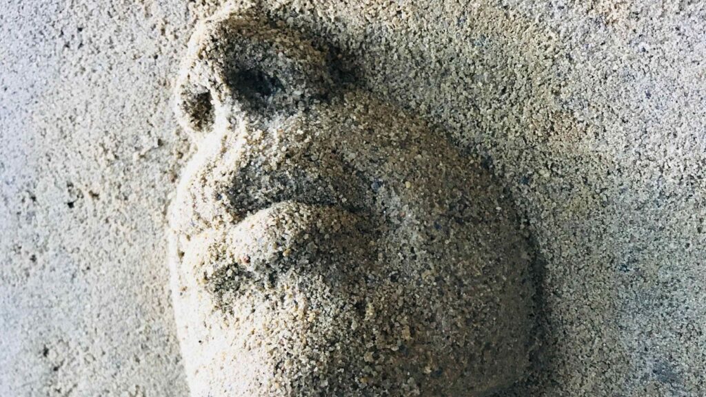 studio legale palisi padova risarcimento